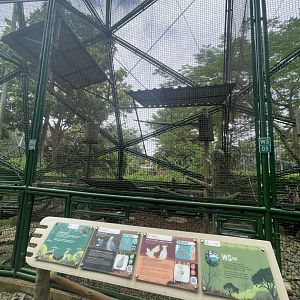 wallacea & sahul - aviary no. 4 - taman burung