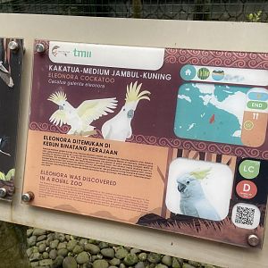 wallacea & sahul - eleonora cockatoo signage - taman burung
