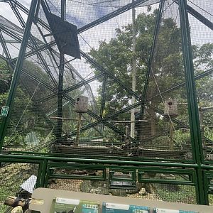 wallacea & sahul - aviary no. 6 - taman burung
