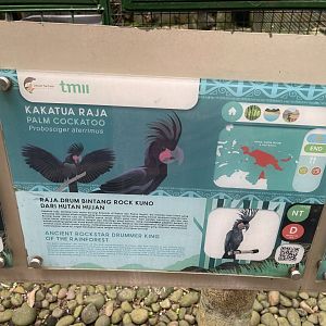 wallacea & sahul - palm cockatoo signage - taman burung