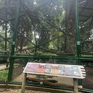 wallacea & sahul - aviary no. 8 - taman burung