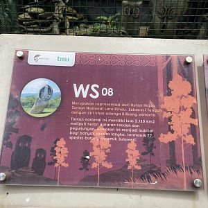 wallacea & sahul - aviary no. 8 signage - taman burung