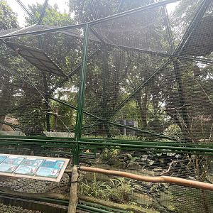 wallacea & sahul - aviary no. 9 - taman burung