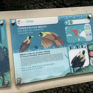 wallacea & sahul - red bird-of-paradise signage - taman burung