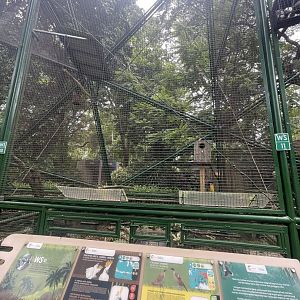 wallacea & sahul - aviary no. 10 - taman burung