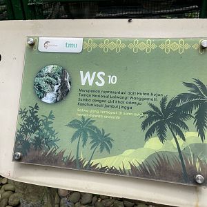 wallacea & sahul - aviary no. 10 signage - taman burung