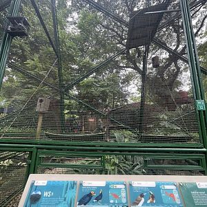 wallacea & sahul - aviary no. 11 - taman burung