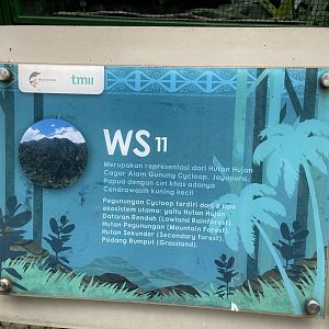 wallacea & sahul - aviary no. 11 signage - taman burung