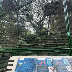 wallacea & sahul - aviary no. 12 - taman burung