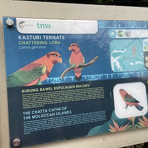 wallacea & sahul - chattering lory signage - taman burung