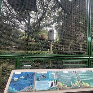 wallacea & sahul - aviary no. 13 - taman burung