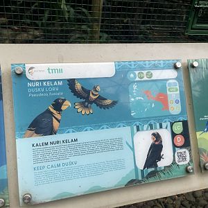 wallacea & sahul - dusky lory signage - taman burung