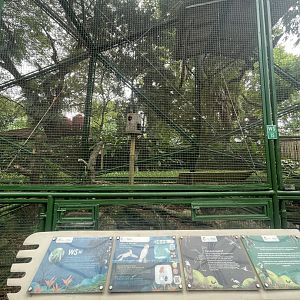 wallacea & sahul - aviary no. 14 - taman burung