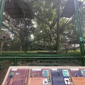 wallacea & sahul - aviary no. 15 - taman burung
