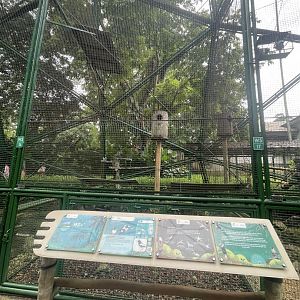 wallacea & sahul - aviary no. 16 - taman burung