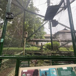 wallacea & sahul - aviary no. 17 - taman burung