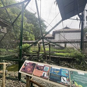 wallacea & sahul - aviary no. 18 - taman burung