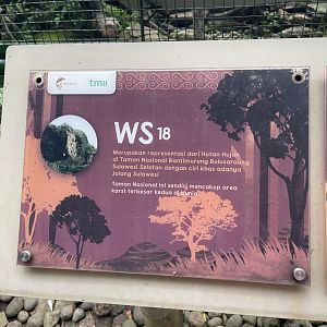 wallacea & sahul - aviary no. 18 signage - taman burung