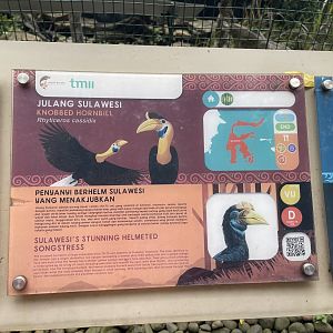 wallacea & sahul - knobbed hornbill signage - taman burung