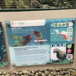 wallacea & sahul - yellow-streaked lory signage - taman burung
