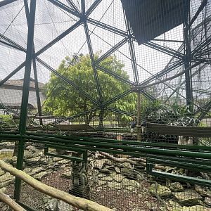 wallacea & sahul - aviary no. 20 - taman burung