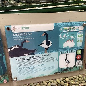 wallacea & sahul - magpie goose signage - taman burung