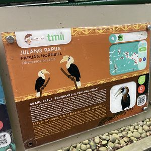 wallacea & sahul - papuan hornbill signage - taman burung