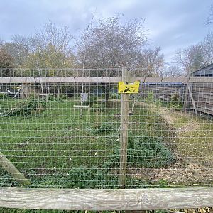 Philippine-spotted deer enclosure