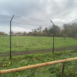 1st view of cheetah enclosure