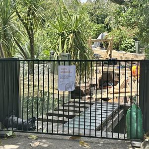 Tasmanian Devil Boardwalk (Under Renovation)