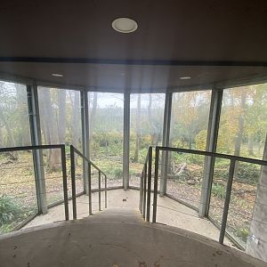 Wolf and brown bear viewing area