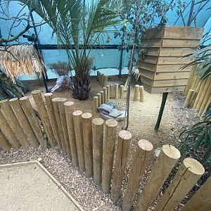 Radiated tortoise enclosure