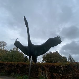 Swan statue
