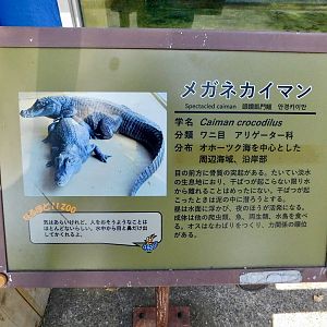 Spectacled Caiman Signage. But the distribution range is incorrect. - Tobu Zoo November 15, 2025