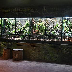 Revamped Vivariums at Reptopia