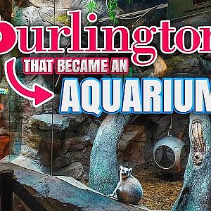 Virtual Tour of the Daytona Aquarium & Rainforest Adventure