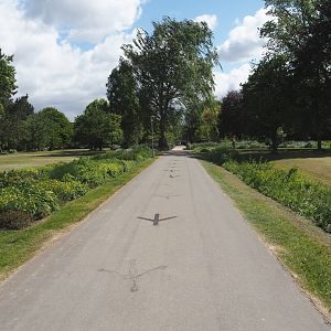 Road with bird feet markings pointing toward the zoo's entrance in the Salinenpark next to the zoo,2025-05-22