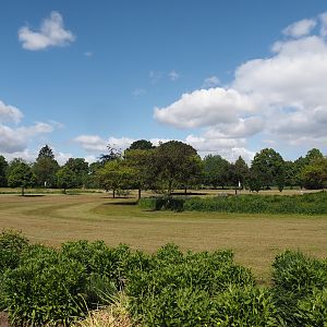 Salinenpark next to NaturZoo Rheine, 2025-05-22