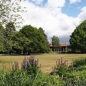 Salinenpark next to NaturZoo Rheine, 2025-05-22