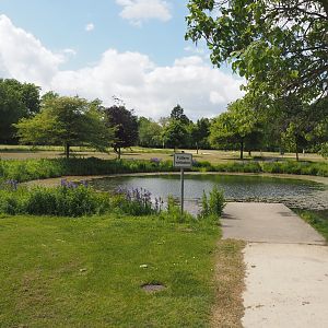 Pond in the Salinenpark next to NaturZoo Rheine, 2025-05-22