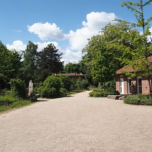 View into the zoo right behind the entrance, towards the gibbon and tamarin exhibits, 2025-05-22