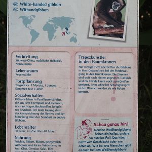 Example of species signage for Lar gibbon, 2025-05-22