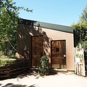 Lar gibbon house, 2025-05-22