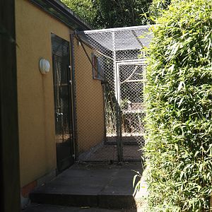 Lar gibbon separation cage, 2025-05-22
