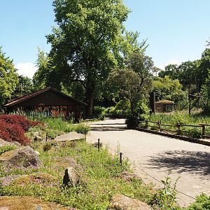 Walkway and rock garden seen towards the coati exhibit, 2025-05-22