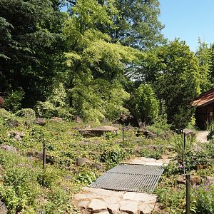 Side trail in the rock garden, 2025-05-22