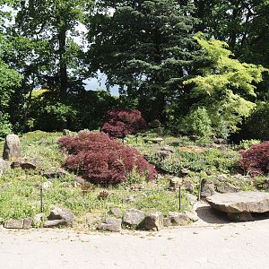 Rock garden, 2025-05-22