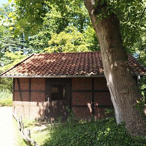 Coati house, 2025-05-22