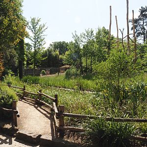 Viewing area for the Lemur Forest exhibit, 2025-05-22