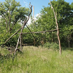 Lemur Forest exhibit, 2025-05-22